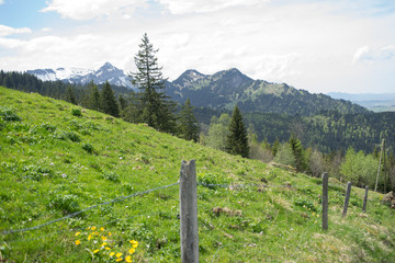 Swiss Mountains in Spring