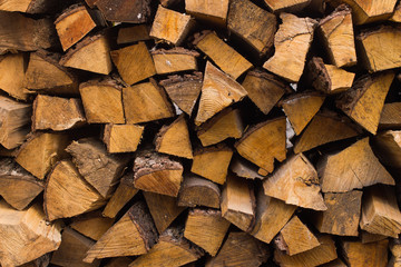 Firewood for the winter