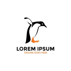 unique penguin logo. vector illustration