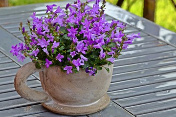 Gartendekoration mit Blumen und Tasse