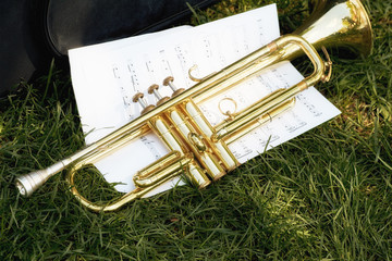A musical trumpet with paper notes lies on the green grass.