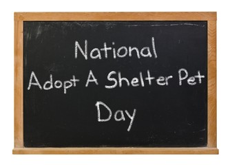 National Adopt a Shelter Pet Day written in white chalk on a black chalkboard isolated on white