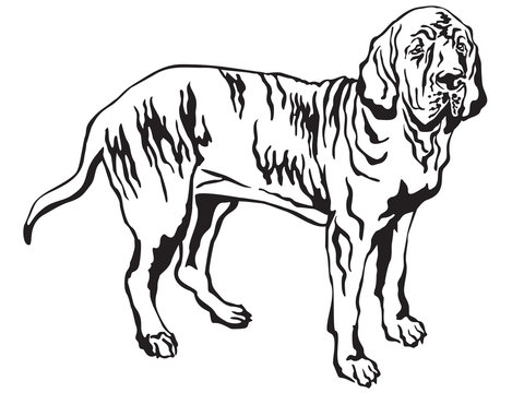Fila Brasileiro Dog Portrait, Autumn Scene Stock Image - Image of breed,  huge: 134239671