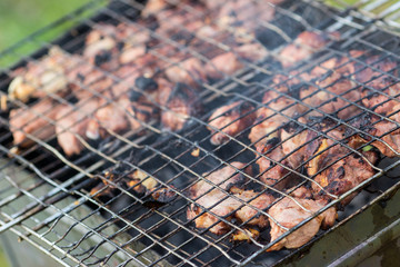Cooking chicken grilled on the grill. Grill the fillets on the grill over the coals of the close-up