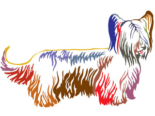 Obraz na płótnie Canvas Colorful decorative standing portrait of Skye Terrier vector illustration