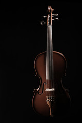 Violin musical instrument of orchestra