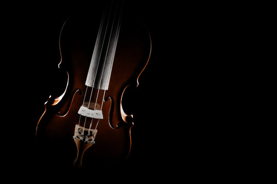 Violin close up isolated. Classical music instruments of orchestra
