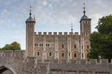 The Tower of London, is a historic castle located on the north bank of the River Thames in central London