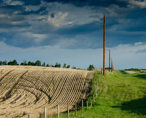 Stubble field with power poles and clouds