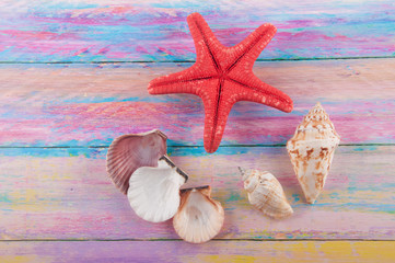 Red starfish and beige seashells laying on multicolored wooden background. Top view