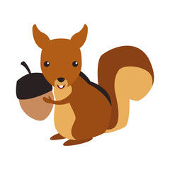 Obraz na płótnie Canvas Squirrel wild animal vector illustration graphic design