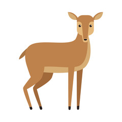 Deer wild animal vector illustration graphic design
