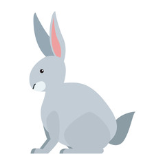 Rabbit wild animal vector illustration graphic design