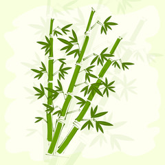 Green bamboo paper background.