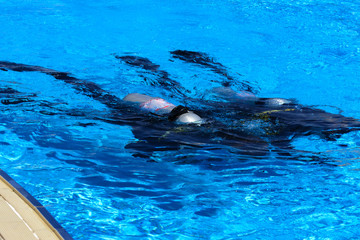 Divers sink in the pool. The teacher teaches the pupil the rules and the lesson of diving. Travel, water sports in the open air, scuba diving lessons.