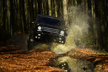 Extreme, challenge and 4x4 vehicle concept. Offroad race on fall nature background. SUV or offroad car on path covered with leaves crossing puddle with water splash. Car racing in autumn forest © Volodymyr