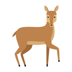 Deer wild animal vector illustration graphic design