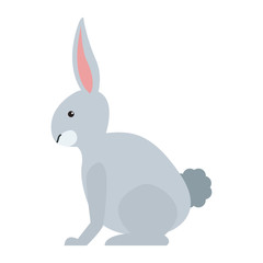 Rabbit wild animal vector illustration graphic design