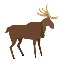 Reindeer wild animal vector illustration graphic design