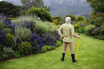Rear view of senior man standing with garden tool