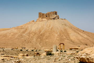 Palmyra today