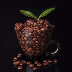 Mug filled with coffee beans and a coffee leaf