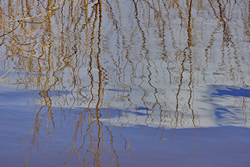 Obraz na płótnie Canvas spring water texture reflection of clouds and trees