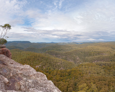 Fototapeta Panoramic view of forest4 covered mountains