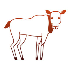Baby bison wild animal vector illustration graphic design