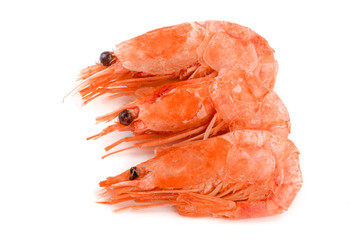 Red cooked prawn or shrimp isolated on white background
