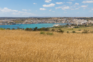 View of Marsaxlokk from hill above, overlooking fields of golden wheat and spring flowers walking, trekking, hiking along the Munxar Path, Marsaskala, Malta