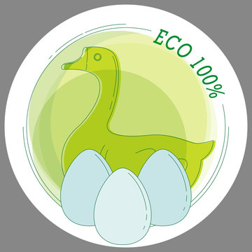 Sticker Eco 100% with a picture of a goose and eggs in the style of line art. Vector. For printing stickers, stickers, symbols of the product