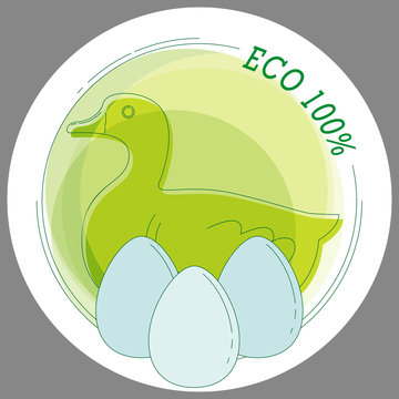 Sticker Eco 100% with a picture of duck eggs in the style of line art. Vector. For printing stickers, stickers, symbols of the product