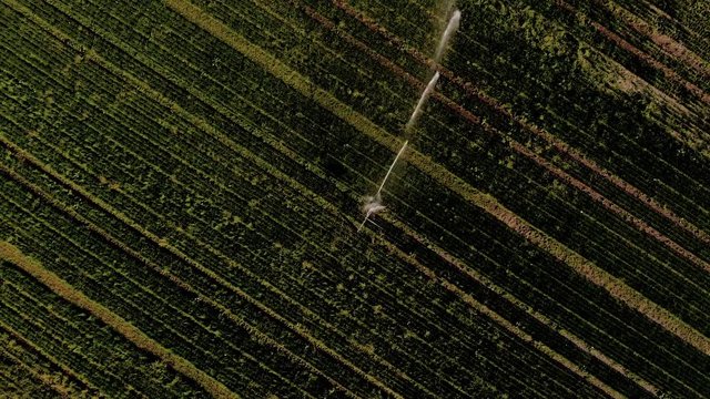 Bew&auml;sserung in der Landwirtschaft