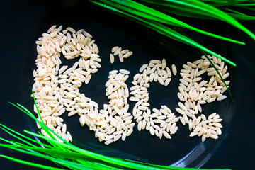 Rice inscription