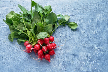 Organic food. Red radish bunch in the on bright blue background. Top view, copy space. Healthy food background.
