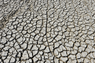 The parched soil