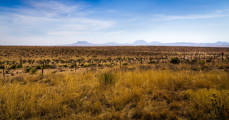 Fototapeta premium Western Plains