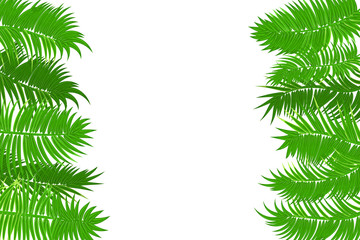Fototapeta na wymiar Web summer jungle frame banner. Green palm leaves template isolated white background. Vector abstract illustration. Realistic picture summer tropical Paradise mock up.