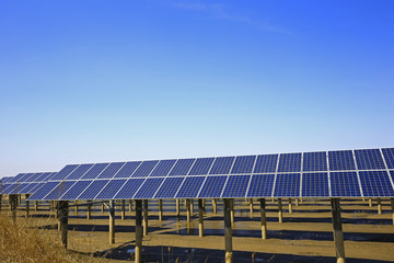 Solar panels on the water