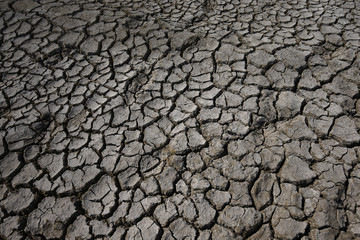 Climate warming dry chapped land