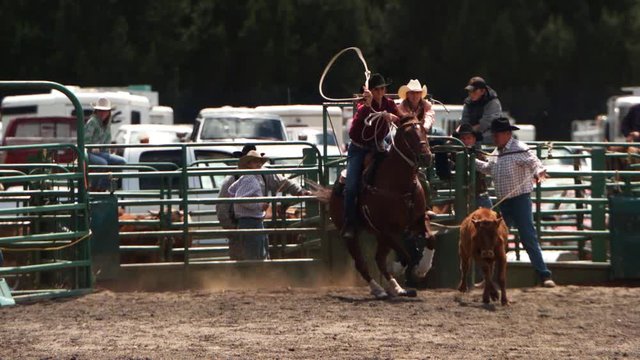 Ultra-slow motion shot of a cowgirl roping a calf at a rodeo
