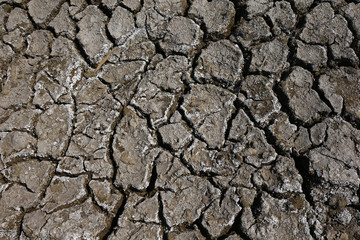 Climate warming dry chapped land