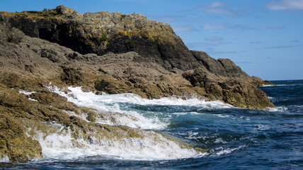 Fototapeta premium Neuseeland, Sommer, Uralub, Natur