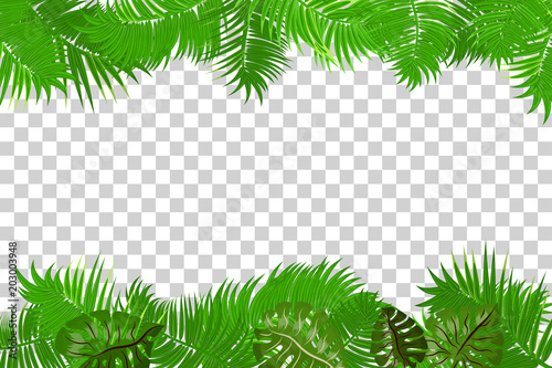 Web Summer Jungle Frame Banner Green Palm Leaves Template Isolated Web Summer Jungle Frame Banner Green Palm Leaves Template Isolated Transpa Background Vector Abstract Ilration Realistic Picture Tropical