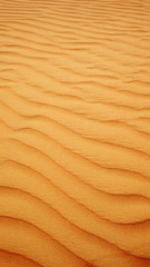 Fototapeta na wymiar Wüste, Sommer, Urlaub