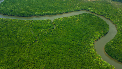 aerial view landscape of  Tree or forest ,  Krabi Thailand