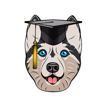 Siberian Husky graduate portrait. Graduations hat cap. Smiling dog. Vector.