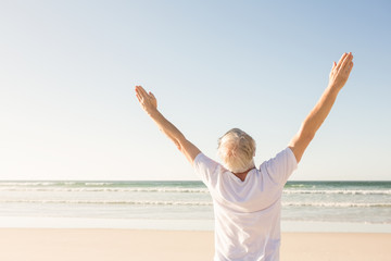 Fototapeta na wymiar Rear view of senior man with arms raised standing at beach