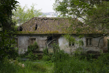 abandoned old house